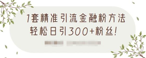 1套精準引流金融粉方法，輕松日引300 粉絲【視頻課程】