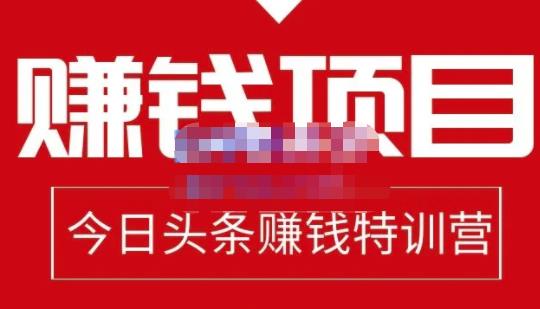 懶人領域·今日頭條項目玩法，頭條中視頻項目，單號收益在50—500可批量