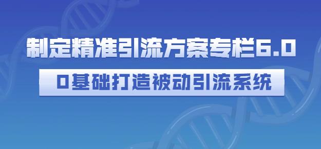 制定精準引流方案專欄6.0，0基礎打造被動引流系統