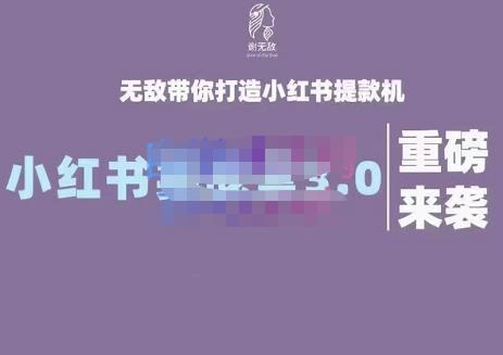 謝無敵·小紅書實戰營3.0，無敵帶你打造小紅書提款機 價值7999元