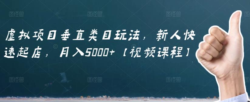 虛擬項(xiàng)目垂直類目玩法，新人快速起店，月入5000 【視頻課程】