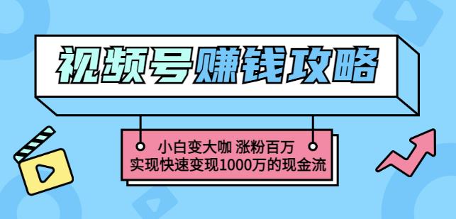 玩轉微信視頻號賺錢：小白變大咖漲粉百萬實現快速變現1000萬的現金流