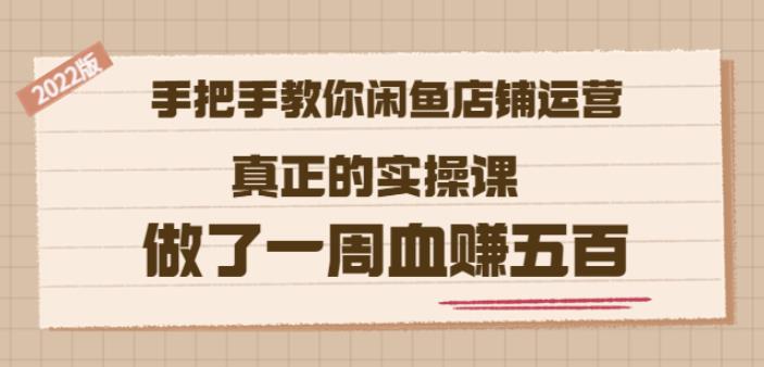 2022版《手把手教你閑魚店鋪運營》真正的實操課做了一周血賺五百(16節課)