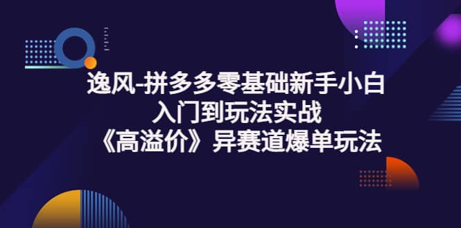 拼多多零基礎新手小白入門到玩法實戰《高溢價》異賽道爆單玩法實操課