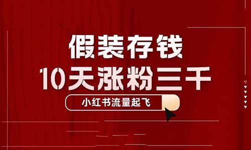 假裝存錢，10天漲粉三千，小紅書流量起飛