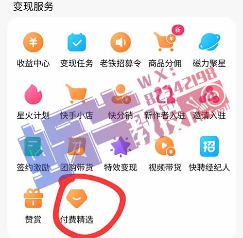 快手付費精選項目，出售瑜伽課程月入10000+，擦邊項目正人君子勿入