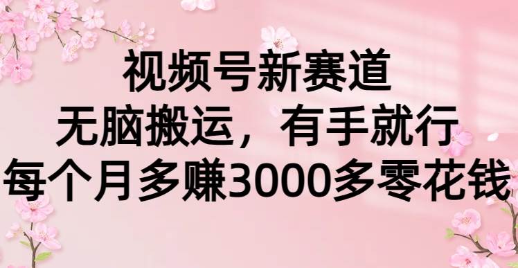 視頻號新賽道，無腦搬運，有手就行，每個月多賺3000多零花錢