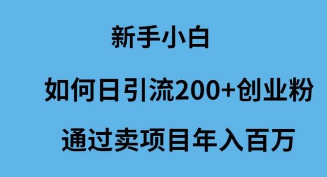 新手小白如何日引流200+創(chuàng)業(yè)粉通過賣項目年入百萬