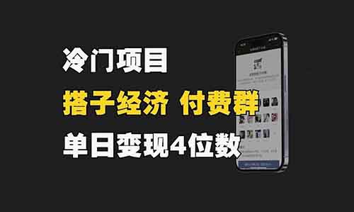 冷門項目拆解，搭子經濟付費群，單日變現4位數玩法