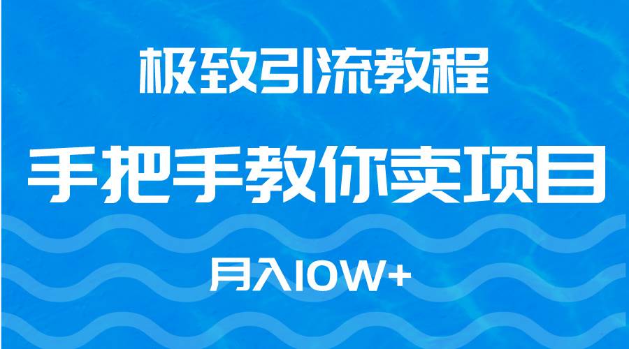 極致引流教程，手把手教你賣項目，月入10W+