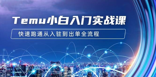 Temu小白入門實戰課：跨境拼多多電商培訓 快速跑通從入駐到出單全流程-12節