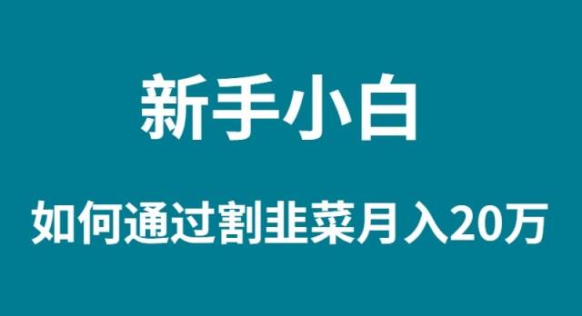 新手小白如何通過割韭菜月入 20W