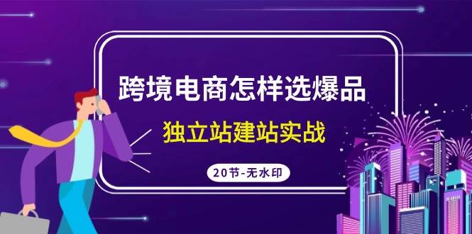 跨境電商怎樣選爆品，獨立站建站實戰（20節高清無水印課）