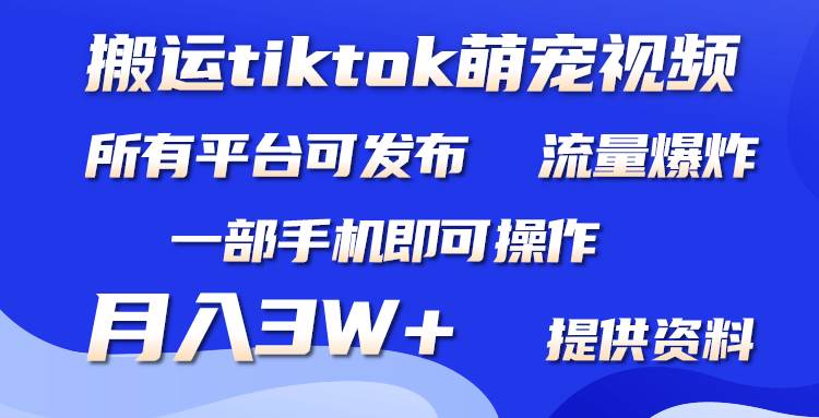 搬運Tiktok萌寵類視頻，一部手機即可。所有短視頻平臺均可操作，月入3W+