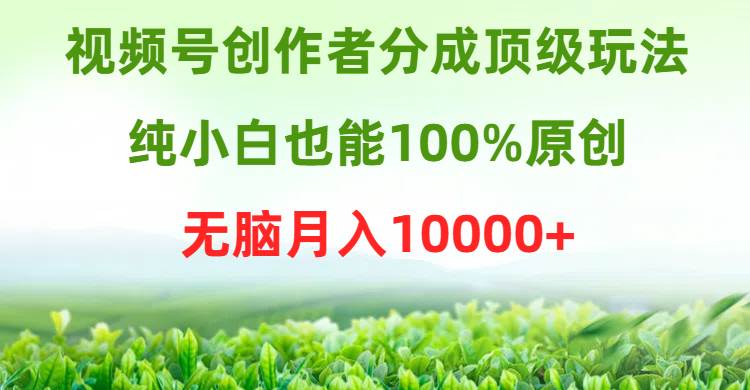 視頻號創作者分成頂級玩法，純小白也能100%原創，無腦月入10000+