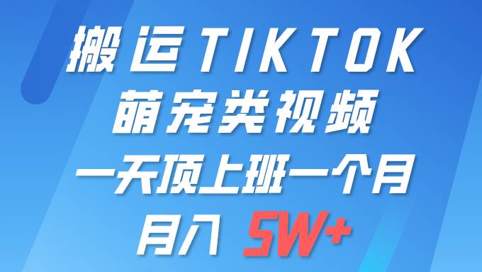 一鍵搬運TIKTOK萌寵類視頻 一部手機即可操作 所有平臺均可發(fā)布 輕松月入5W+