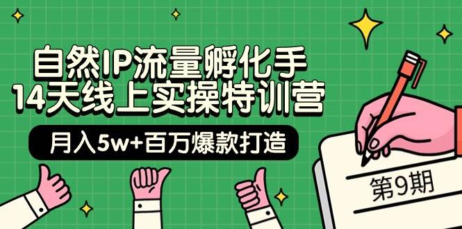 自然IP流量孵化手 14天線上實操特訓營【第9期】月入5w+百萬爆款打造 (74節)