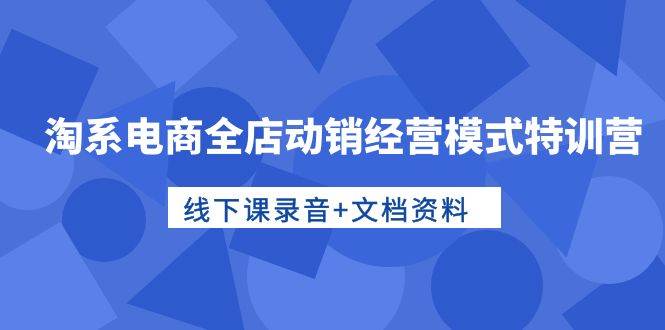 淘系電商全店動銷經營模式特訓營，線下課錄音+文檔資料