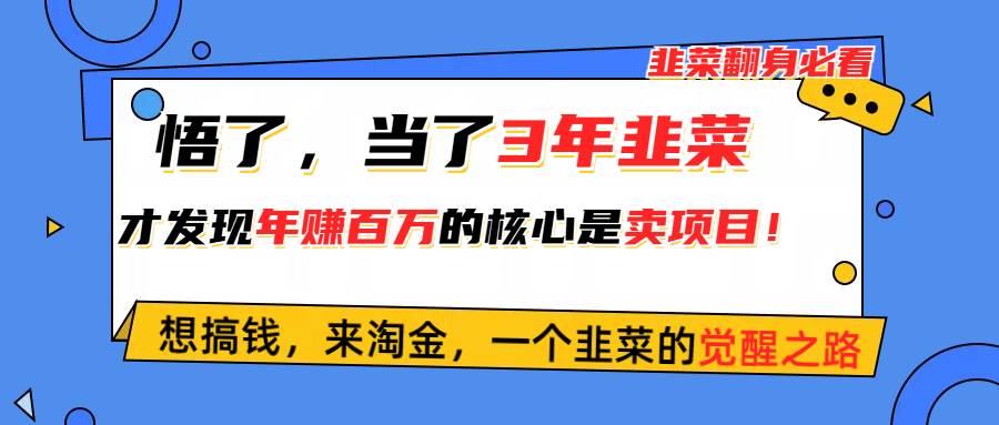 悟了，當了3年韭菜，才發現網賺圈年賺100萬的核心是賣項目，含淚分享！