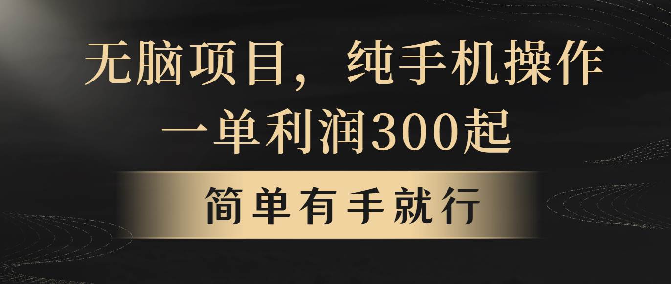 無腦項目，一單幾百塊，輕松月入5w+，看完就能直接操作