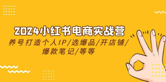 2024小紅書電商實戰營，養號打造IP/選爆品/開店鋪/爆款筆記/等等（24節）