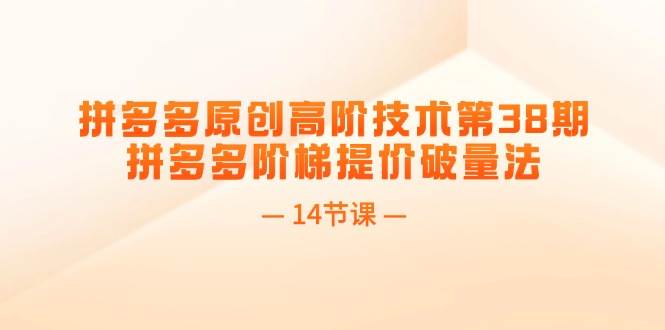 拼多多原創高階技術第38期，拼多多階梯提價破量法（14節課）