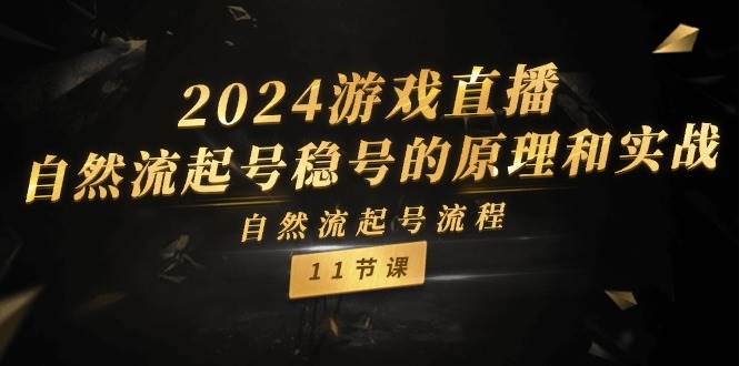 2024游戲直播-自然流起號(hào)穩(wěn)號(hào)的原理和實(shí)戰(zhàn)，自然流起號(hào)流程（11節(jié)）