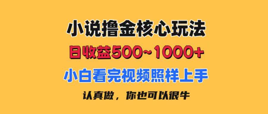 小說擼金核心玩法，日收益500-1000+，小白看完照樣上手，0成本有手就行