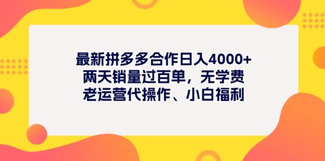 最新拼多多項目日入4000+兩天銷量過百單，無學費、老運營代操作、小白福利