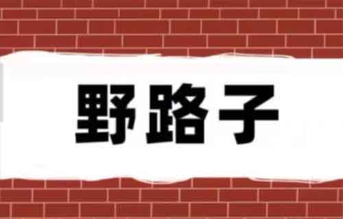 小紅書最新的野路子玩法：簡單粗暴，20天搞了4000+收入！