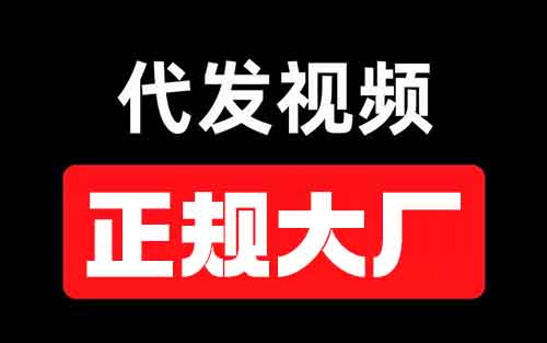 正規(guī)大廠出品，視頻代發(fā)，一條5塊，日入1000